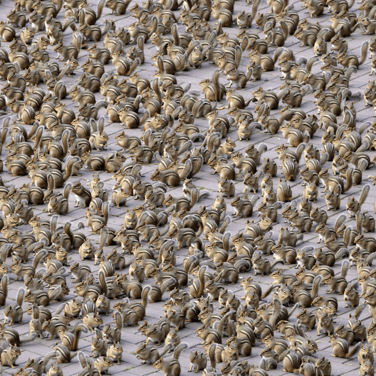 Flux.2 generated image 24