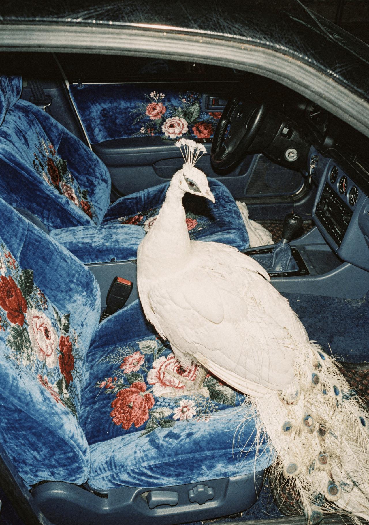 Flux.2 generated image 40