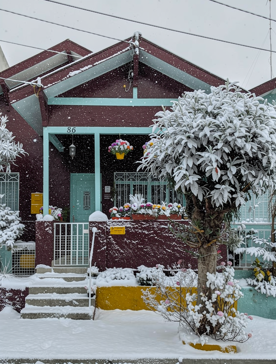 Flux.2 generated image 45