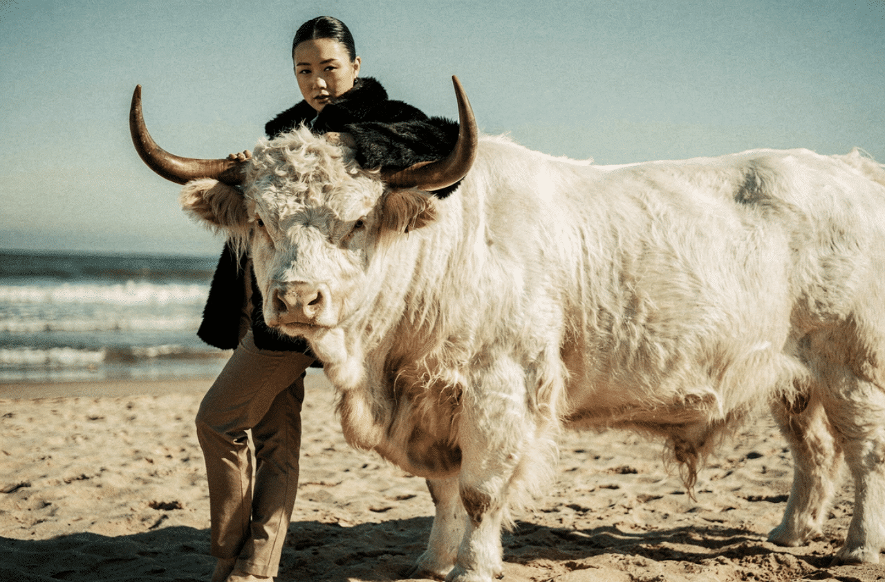 Flux.2 generated image 57