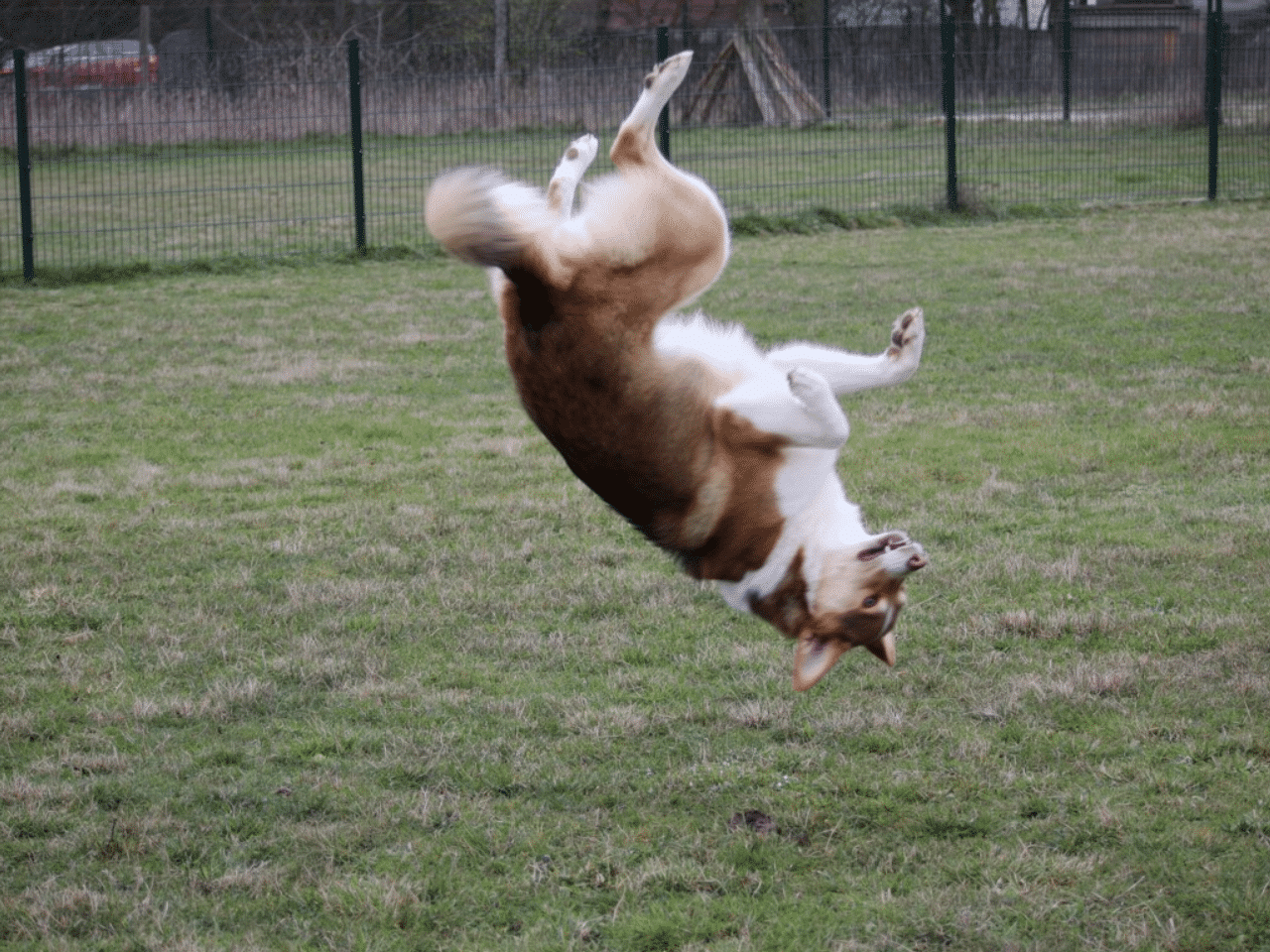 Flux.2 generated image 62