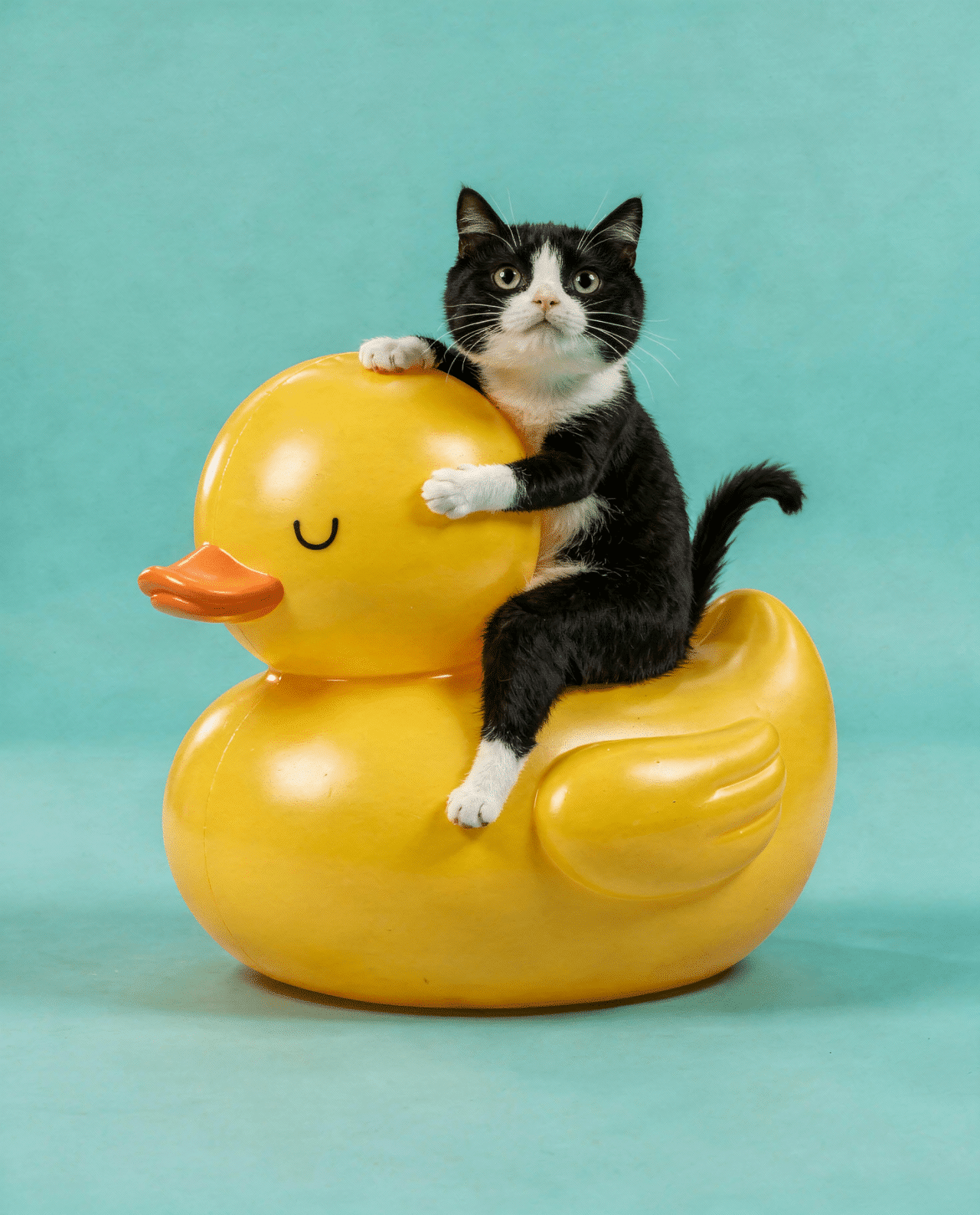 Flux.2 generated image 77