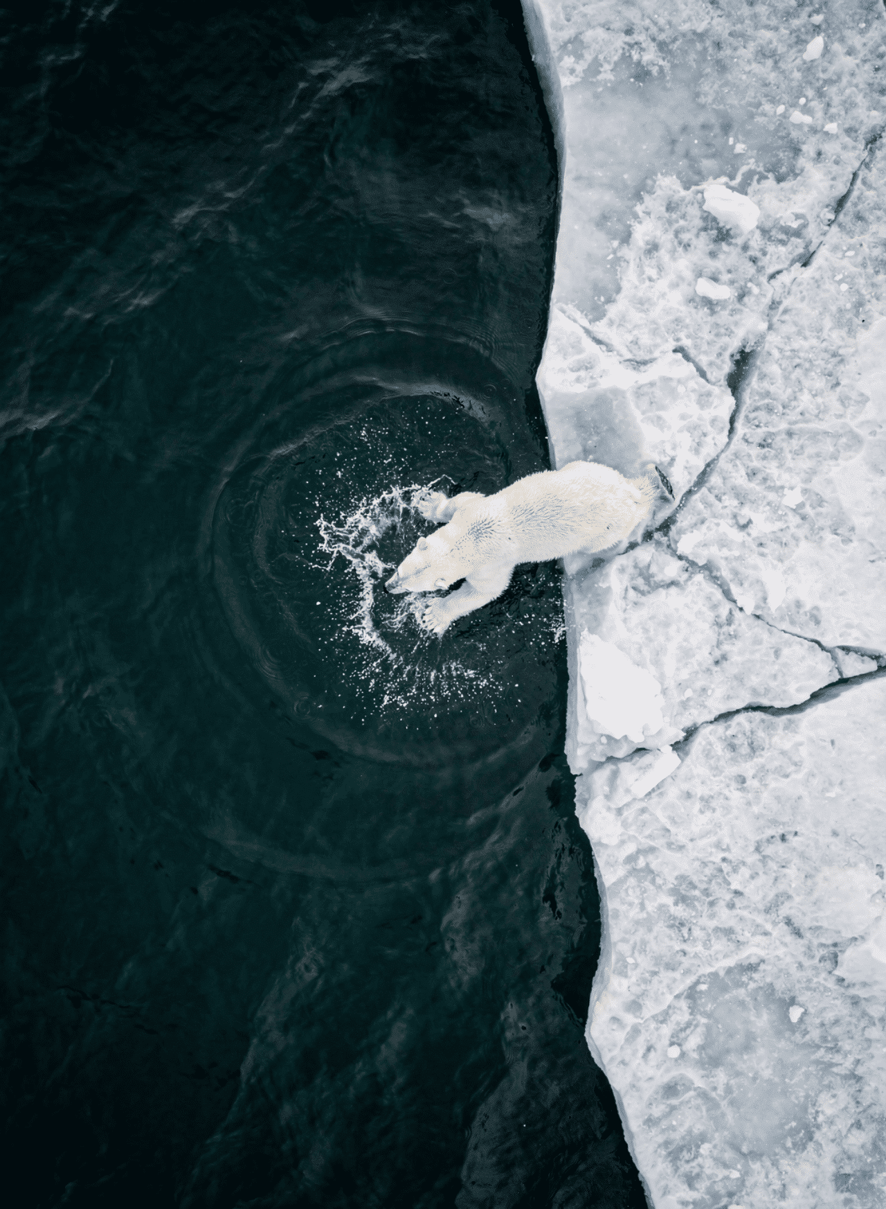 Flux.2 generated image 110