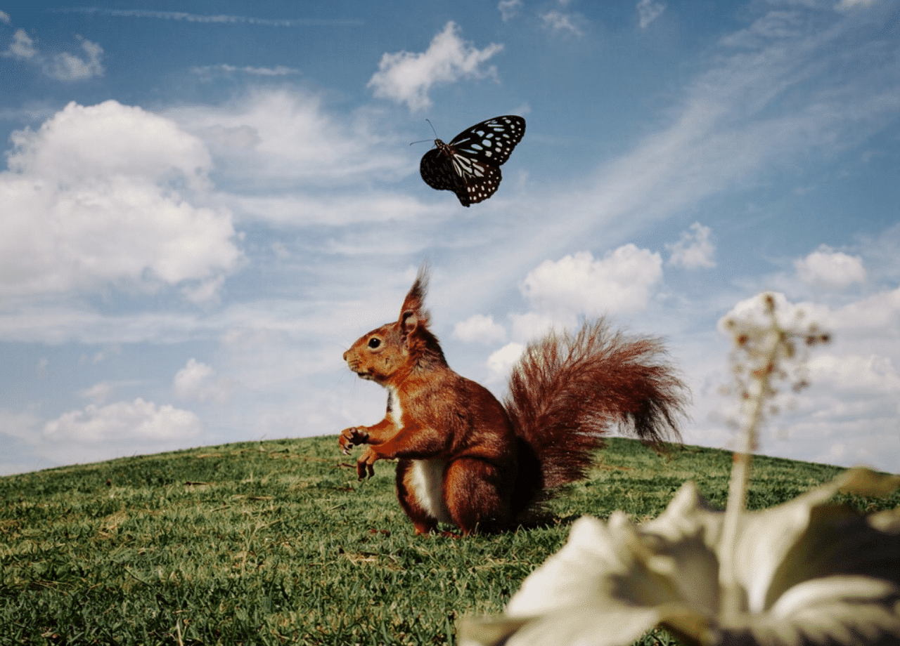 Flux.2 generated image 135