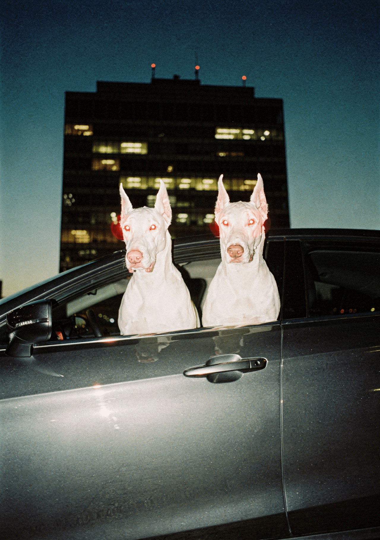 Flux.2 generated image 151