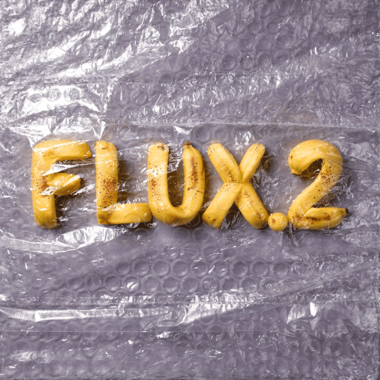 Flux.2 generated image 19